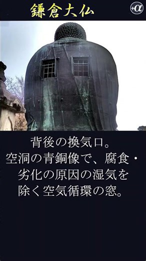 鎌倉大仏：鎌倉市長谷の高徳院にある国宝の阿弥陀如来坐像 #Shorts