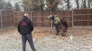 969K views · 5K reactions | Double Trouble ‼️‼️‼️‼️ 2 Dobermann...