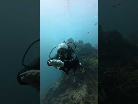 Thailand scuba Ko Bida Nok (Koh Phi Phi)