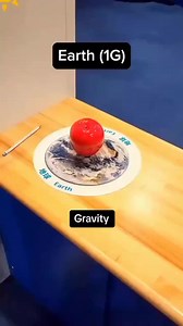 5.1M views · 10K reactions | Gravity in other planets. #space #space #universe #xh #earth #vutru #vatly #khonggian #traidat #knowledge #science #gravity #physics #solarsystem #reelsvideo #reelsinstagram | Kristen Nova | Facebook