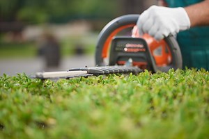 How to Trim Bushes: Simple Guide for Homeowners