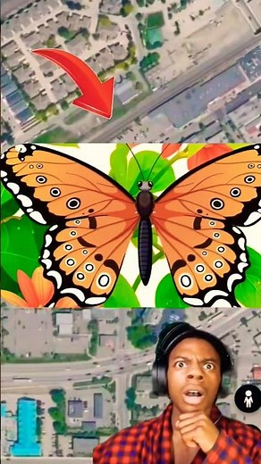 butterfly statue in Belgium Google map#geographythroughmaps #mapguide #googleearth