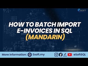 BATCH IMPORT E INVOICE (MANDARIN)