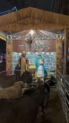 ✨🎄 Come experience Christmas like never before! 🎄✨ We invite you to our ✨ Live Nativity: A Night in Bethlehem ✨, featuring Mary, Joseph, the Baby Jesus, and live animals, right in front of Our Lady of Mt. Carmel Church 🤍🐑🫏 A beautiful, faith filled experience for the whole family, bringing the story of Christ’s birth to life in the heart of our community ✨🙏 📍 Our Lady of Mt. Carmel Church 📅 Saturday, December 20 | 10:00am–6:00pm 📅 Tuesday, December 23 | 10:00am–4:00pm 📸 Take photos, pr