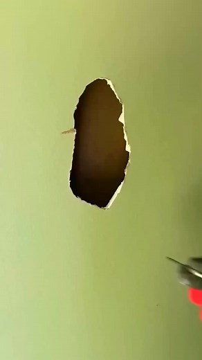 Drywall repair #tools #construction | Estella Simmon