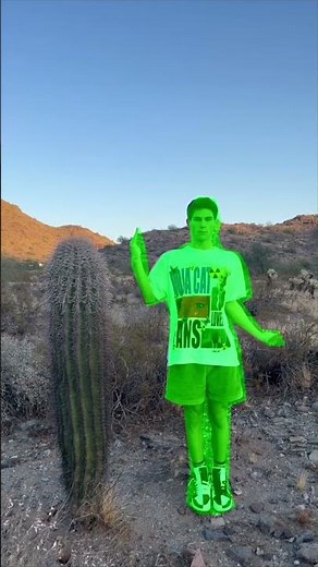 what happens when you touch a cactus 🌵