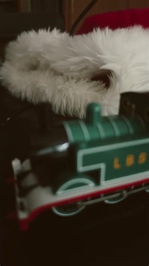 Bachmann LBSC Thomas!