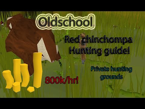 Oldschool Runescape - Red Chinchompa hunting Guide! 800k+gp/hr 125k+xp/hr (PRIVATE HUNTING AREA)