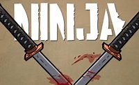 Play The Ninja Game | Free Online  Games. KidzSearch.com