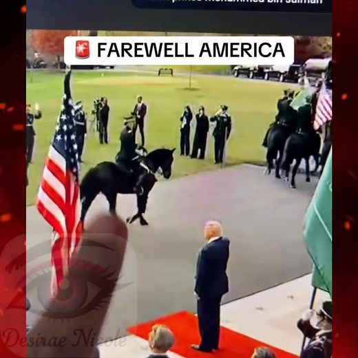 🍿📺To those asleep, this will look like business as usual. To those awake, we are seeing a glimpse of what’s to come… #america #endtimesprophecy #jesus #prophecy | Desirae Nicole