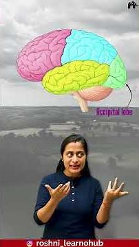 Brain - Cerebrum | Neural control and coordination Class 11 Bio with Roshni Mam #conceptcrystalclear