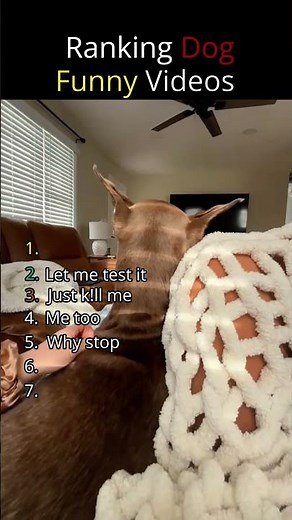 Dogs Being Dramatic for No Reason 😂