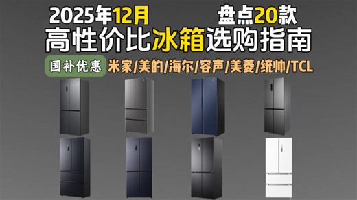 【年终冰箱指南】2025年终冰箱选购总攻略 拒绝智商税，对开门、十字门、法式多门怎么选？精选20款全品牌高性价比冰箱 超全面、超详细优缺点分析及保姆级选购指南