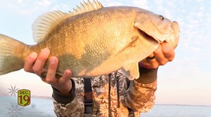 In one of the most impressive performances in recent memory, Seth Feider Fishing put on a show at Lake St. Clair during the 2019 Angler of the Year Championship! Who witnessed the smallmouth smash fest he conducted for those three days, averaging 26 pounds per day? #bassfishing #basselite #basslive #lakestclair #smallmouth #fishing | Bassmaster