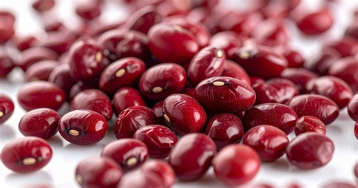 South Florida miracle fruit helps cancer patients manage chemo taste changes | Gordon Wynant