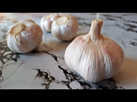 Don’t Toss That Garlic! How to Store Garlic All Year Without It Sprouting or Drying Out!
