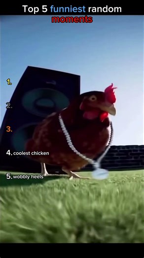 funniest random moments