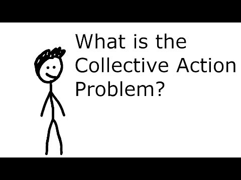 What is the collective action problem?