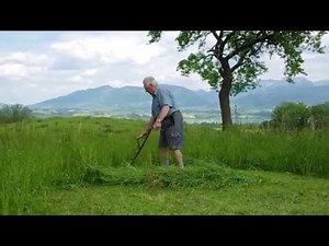 Opa mäht Gras mit der Sense