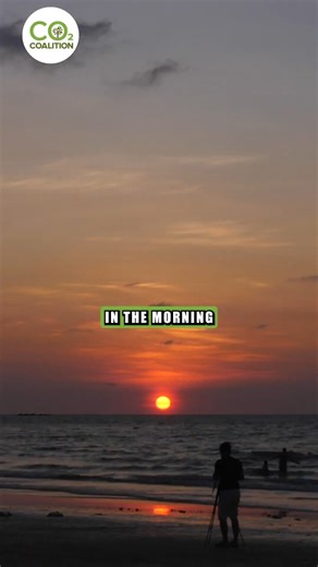 Renewable energy isn't as renewable - or reliable - as you might think. #climatechange #climatecrisis #globalwarming #fossilfuels #fossilfuel #co2 #carbondioxide #renewableenergy #solarpower #solarenergy #windpower #windenergy #windpower #windenergy #globalwarming Watch the full video here: https://www.youtube.com/watch?v=w5Pc2vRJmWE&t=0s | CO2 Coalition