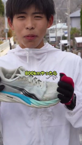 ヴェロシティニトロ4の1000km耐久性レビュー