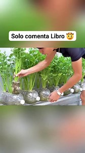 5.8K reactions · 340 shares | Comenta Libro ‍♂️ Por favor lee esto;...