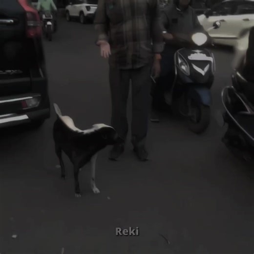 Zetsu: Naruto's Unique Character in Real Life