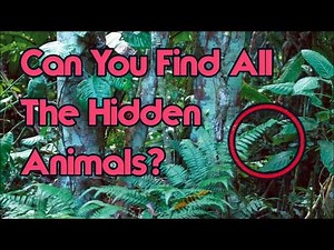 Can You Find All The Hidden Animals? Impos... - SafeShare