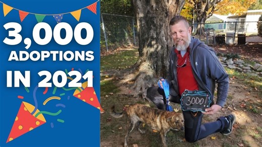 Humane Society of Charlotte reaches goal of 3,000 adoptions in 2021