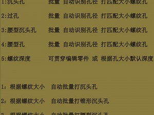 SW打孔助手教程