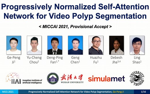【01】Progressively Normalized Self-Attention Network for Video Polyp Segmentation