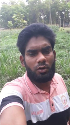 الشهادة مفتاح الجنة | لا إله إلا الله محمد رسول الله 🤍#islamicvideo