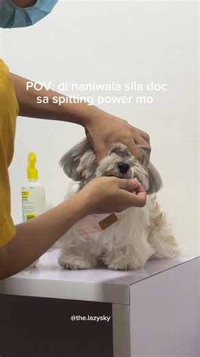 Deworming Dogs: A Funny Moment with My Pup