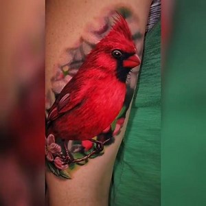 39K views · 4.6K reactions | Realistic Cardinal made by Jamie Schene at the Philadelphia Tattoo Arts Convention.  #TATTOODO | Tattoodo | Facebook