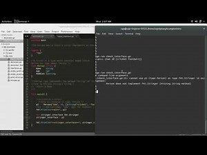 Go Golang How to Check a struct Implements an Interface