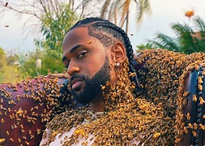 Rap buzz! Big Sean poses with thousands of bees in new video [watch]