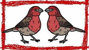 10 Minutes House Finch Call/Sound/Song