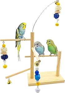 Bird Playground Natural Wood Bird Perchs Stand with Chew Toys, Parrot Playstand Training Stand for Cockatiel Parakeet Parrots Lovebirds