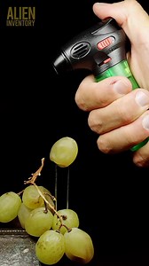 1.4M views · 2.7K reactions | heating the grape. #asmr #asmrsounds #macroart #macro #macrophotography #makrofotografia #closeup #closeupphotògraphy #raw_macro #kings_macro #macro_highlight #macro_royals #macroworld_tr #macro_vision #macro_captures #macro_holic #microworld #microart | Alien Inventory | Facebook