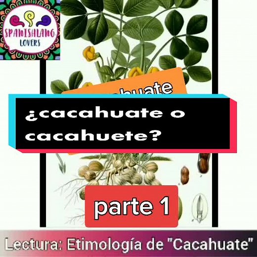 ¿Cacahuate o cacahuete? Descubre su origen