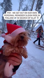 Have you ever been on a reindeer sleigh ride? Still wondering which of Santa’s reindeer did we get? Add this experience to your list of things to do when visiting Finland 🇫🇮 We caught this reindeer sleigh ride in @santaclausvillageofficial 🎅🏽🦌🛷 There’s also a reindeer farm and husky park onsite that’s definitely worth checking out!! ❄️Don’t worry I keep the girls bundled up and warm under the reindeer fur blanket 😳 The ride was only 1000m long and we were back inside right after. | Travel