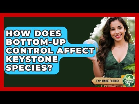 How Does Bottom-up Control Affect Keystone Species? - Explaining Ecology