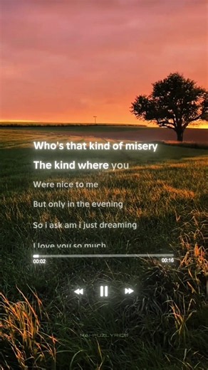 MISERY - Pupsies | Lyrics | TikTok Edit | WhatsApp Status | Aesthetic | #viral #aesthetic
