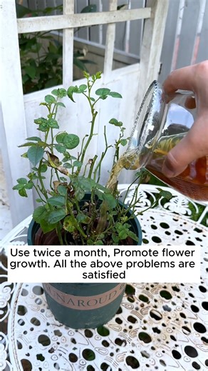 23K views · 106 reactions | Good tips for dealing with tree problems #gardeninggoals #gardeningistherapy #gardeningtips #gardeninglife #gardening_love #gardeninguk #gardening101 #gardeningtools #gardeningislife #gardeningtherapy #gardeningknowhow #gardeningseason #gardeningismytherapy #gardeningmakesmehappy #gardeningaustraliamag #gardeningday #gardeningideas #gardeningphoto | Garden For Life | Facebook