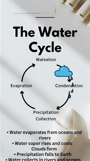 water cycle short
