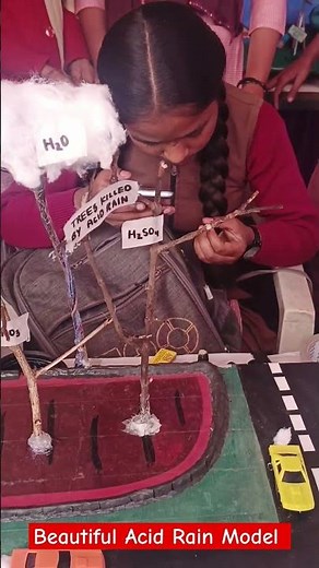 Acid Rain Model #basicschool #scienceactivity #sciencemodel