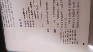 条形码发明近二十年后才被应用_哔哩哔哩_bilibili