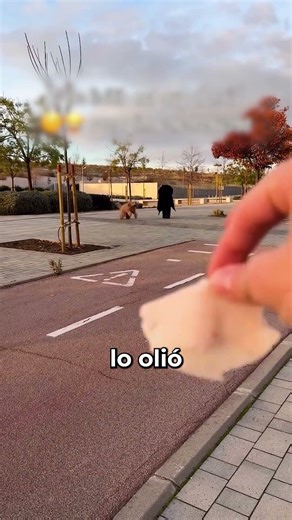 TUTORIAL ON HOW TO STEAL A PUPPY 🤣🐶