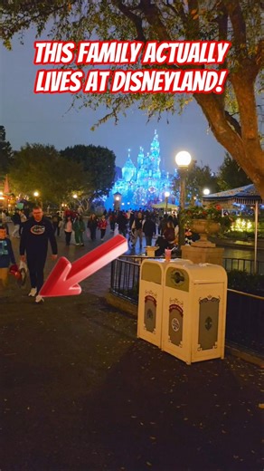 The amazing duck family that lives at #disneyland #cute #cuteanimals