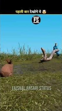 How Robot Bunnies Help Hunt Snakes 😲